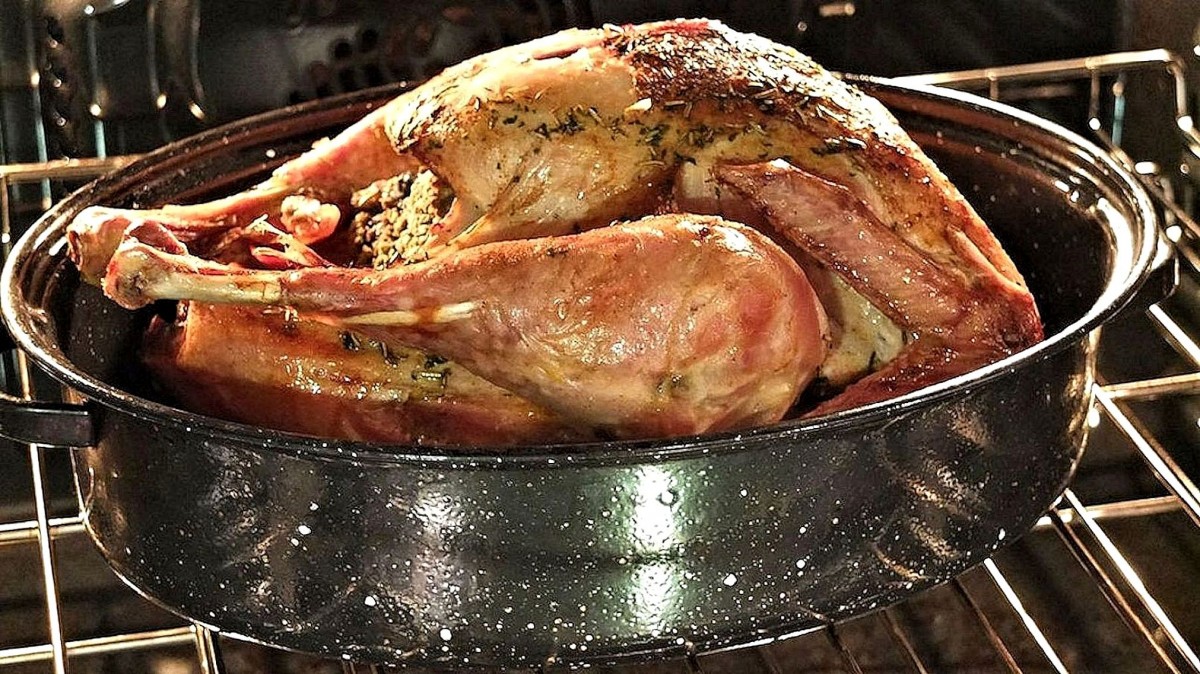 turkey_oven_roasted_thanksgiving_food_meat-923271
