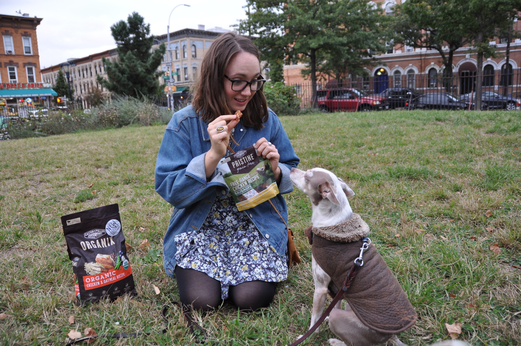 Erica gives Baxter a Chicken Sausage Recipe treat from Castor & Pollux (Jordan Werner Barry)
