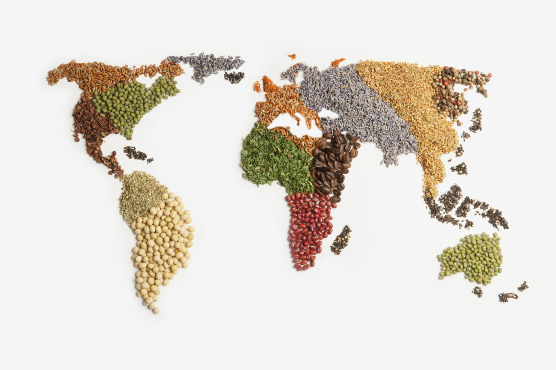 Map of world made of various seeds