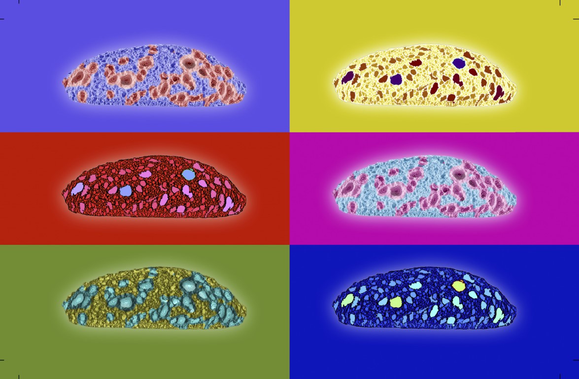 C Cell Images_Take Dos