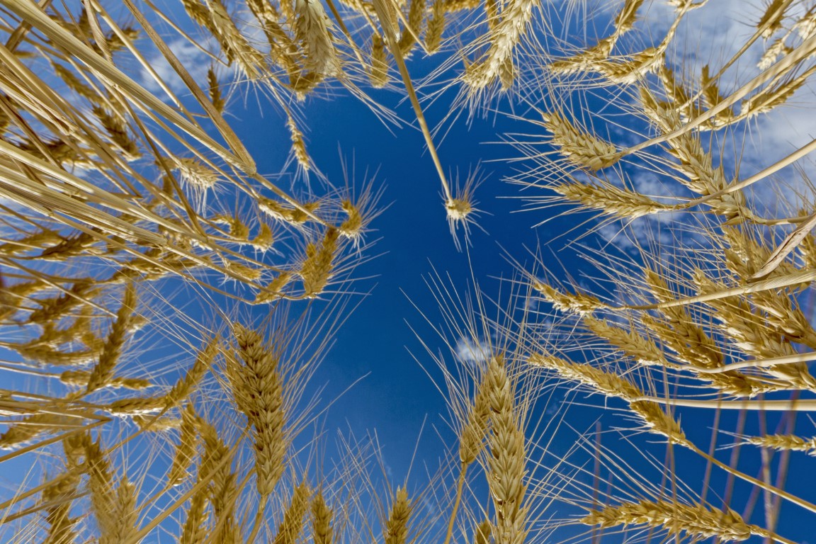 Dirts Eye View_394C3775 V2 Edit