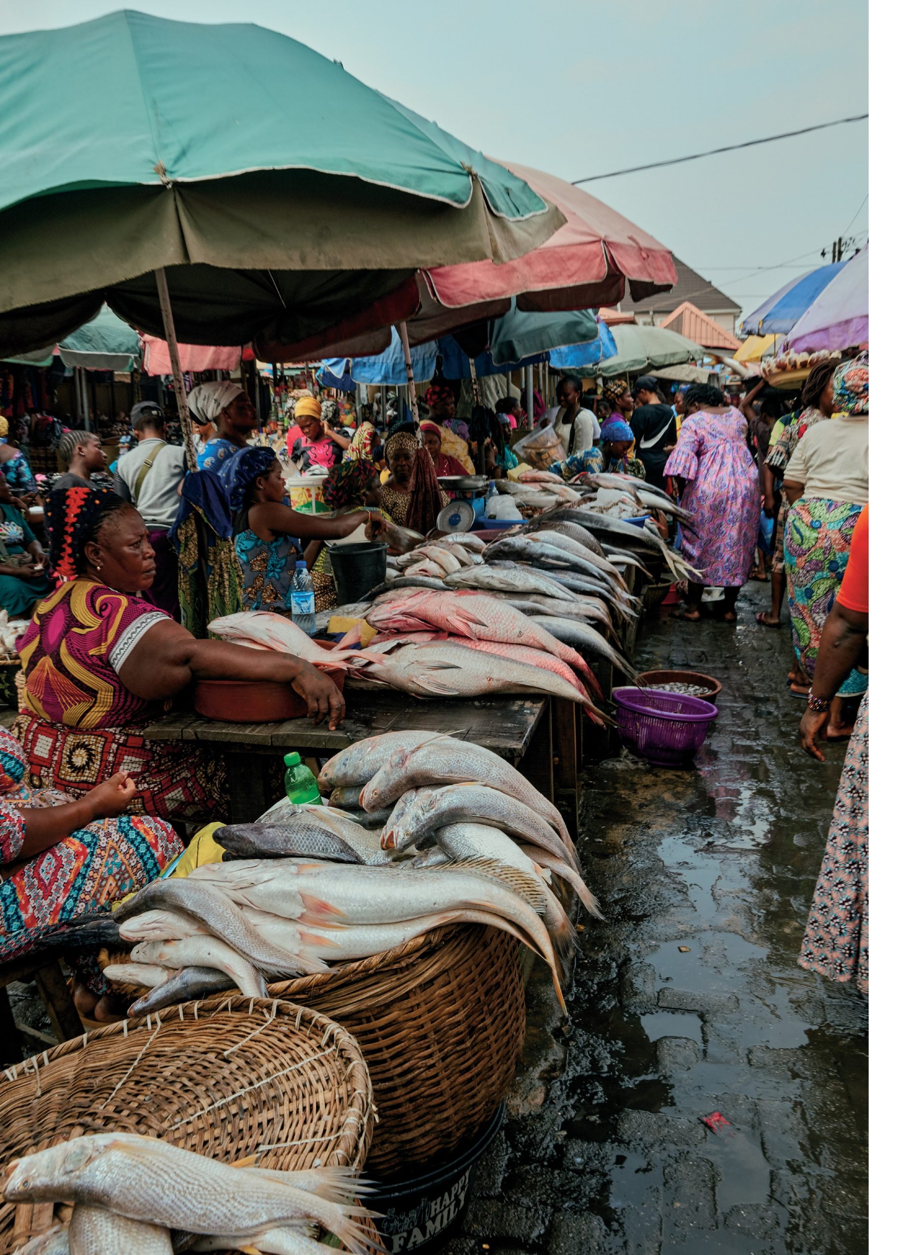 The Foodways and Cooking of Nigeria
